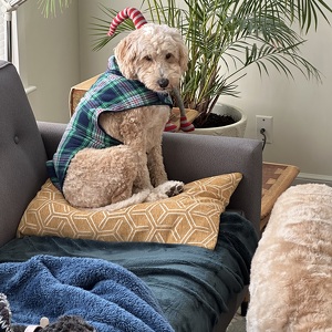 Fundraising Page: Amy Kelly